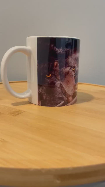 Scott Transformation Mug
